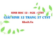 Giải Sinh 12 trang 37 Chân trời Sáng tạo